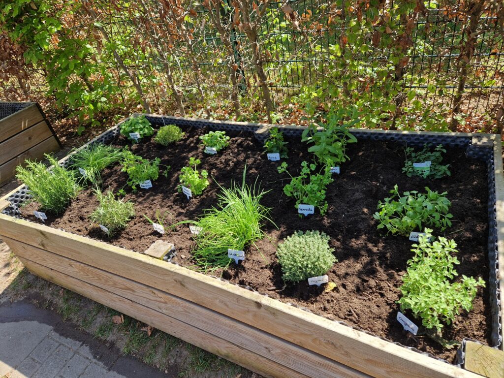 Gartenaktion 2